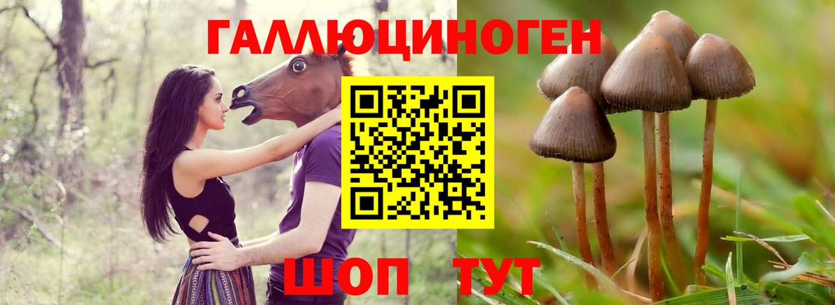 Галлюциногенные грибы ЛСД Советский