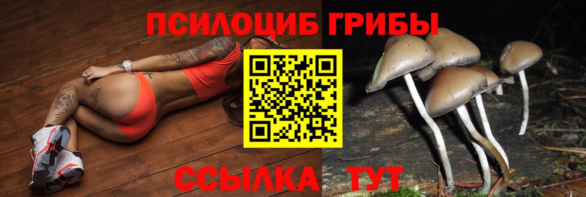 Советский  Галлюциногенные грибы Psilocybe  Вход с VPN 